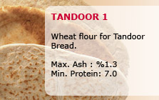 tandoor1