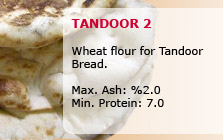 tandoor2